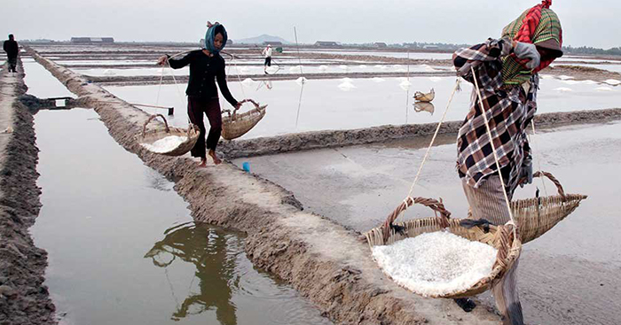 ទោះស្ថិតក្នុងស្ថានភាព Covid-19 ក៏អំបិលកំពតនៅដំណើរការល្អ