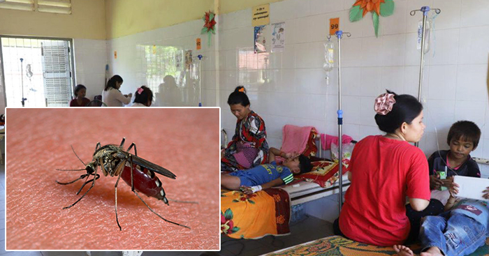 ក្រសួងថា ជំងឺគ្រុនឈាមអាចនឹងកើនឡើងក្នុងពេលខាងមុខ សូមអាណាព្យាបាលប្រុងប្រយ័ត្ន