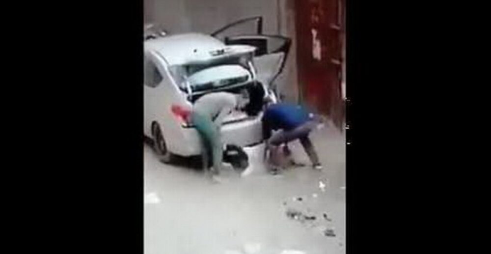 ចុំ អីក៏ខ្លាំងម្ល៉េះ!? បុរស 3នាក់ លួចគោ 1ក្បាល និងចៀម 2ក្បាល ញាត់ចូលរថយន្តតូចមួយ បានយ៉ាងស្រួល...(មានឃ្លីប)