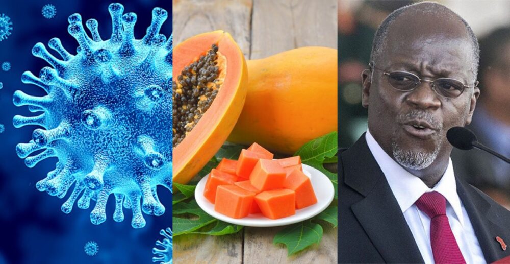 ផ្លែល្ហុងនៅប្រទេស Tanzania “វិជ្ជមាន” នឹងវីរុសCOVID-19