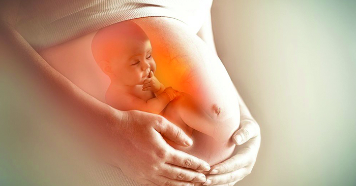 ដឹងទេ? ទារកអាចរៀនយល់ដឹងអ្វីផ្សេងៗតាំងពីនៅក្នុងគភ៌ម្តាយម្ល៉េះ