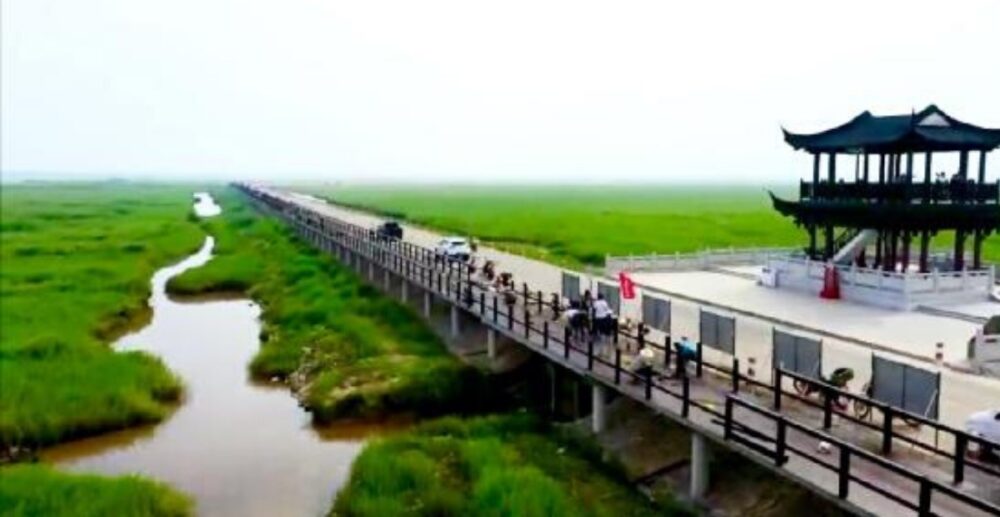 ស្ពានឫស្សីវែងជាងគេបង្អស់ក្នុងពិភពលោក នឹងបើកទ្វារទទួលទេសចរ ចាប់ពីពាក់កណ្ដាលខែនេះតទៅ (មានវីដេអូ)