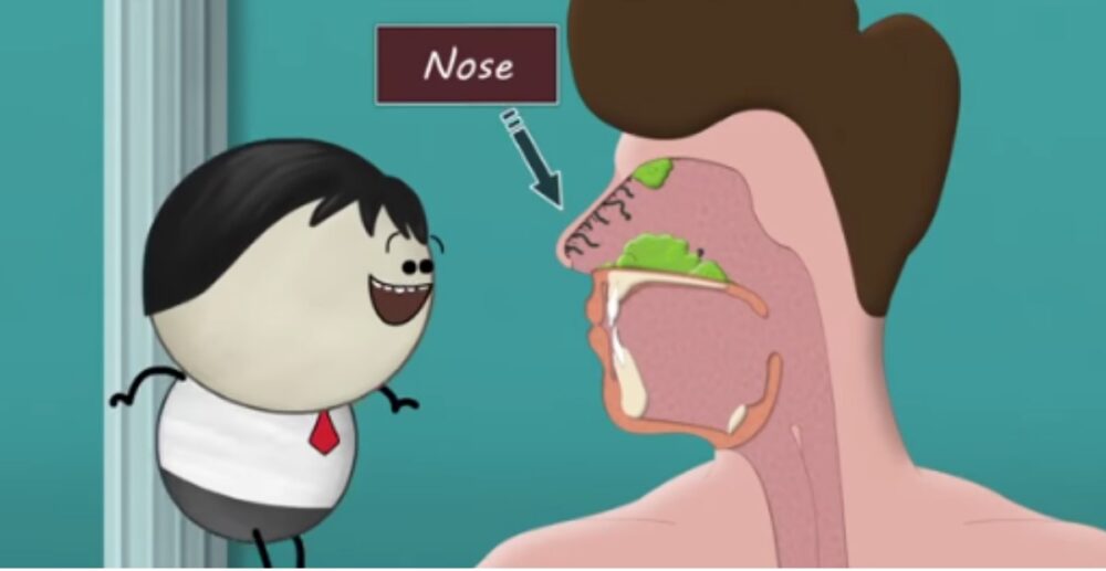 (វីដេអូ) ហេតុអ្វីមនុស្សយើងតែងហៀរសម្បោរពេលហូបអាហារហឹរ?