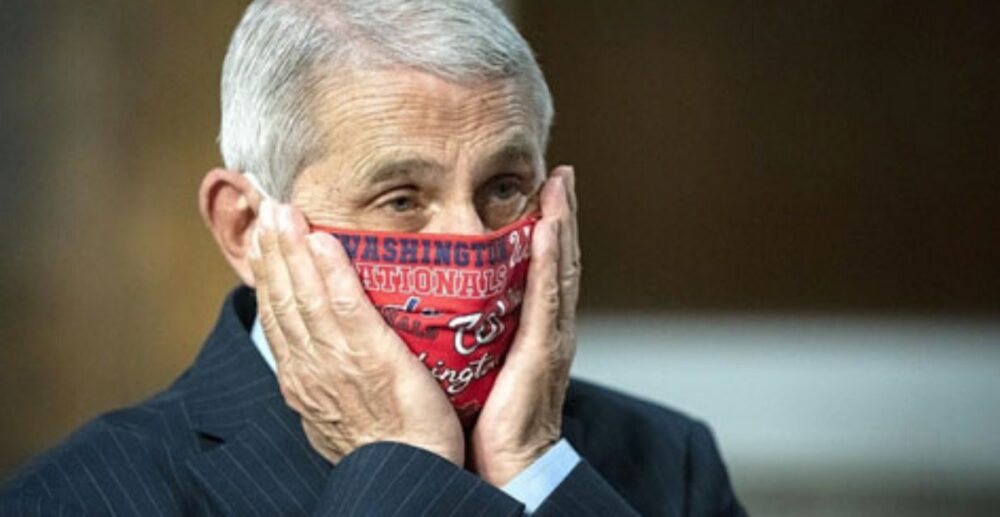 ជំងឺវីរុស ជាន់កបន្ថែមលើ ជំងឺសេដ្ឋកិច្ច