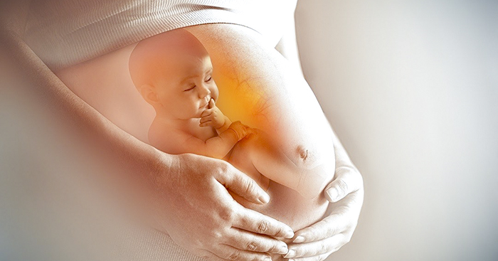 ធ្លាប់នឹកឆ្ងល់ទេថា កូននៅក្នុងផ្ទៃម្តាយដកដង្ហើមយ៉ាងណា?