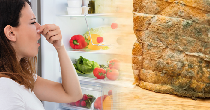 តើមានគ្រោះថ្នាក់ដល់រាងកាយដែរឬទេ បើចៃដន្យច្រឡំញ៉ាំអាហារដែលមានដុះផ្សឹតចូលទៅ?