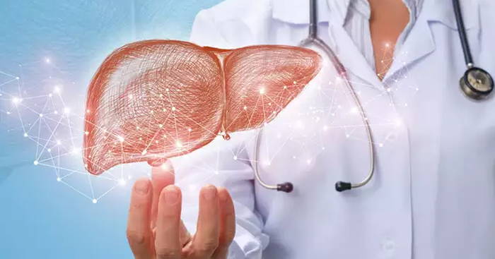 សង្កេតមើលខ្លួនឯងមុនហួសពេល…12 អាការដែលប្រាប់ថា ថ្លើមរបស់អ្នកជិតខ្ទេចហើយ