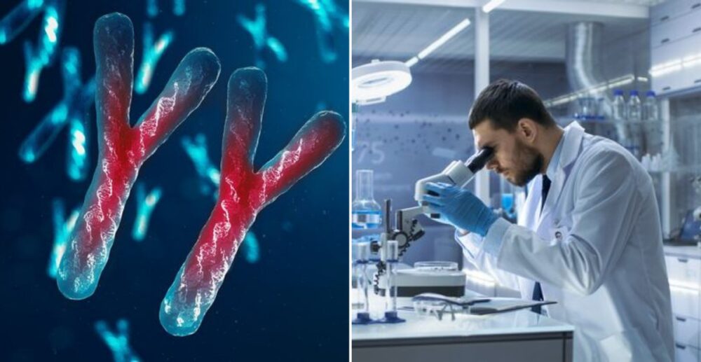 បុរសភេទអាចនឹងត្រូវ “ផុតពូជ” ក្នុងអនាគតកាល ដោយសារតែក្រូម៉ូសូម Y (Y chromosome) កំពុងបាត់ខ្លួនបន្តិចម្ដងៗ?