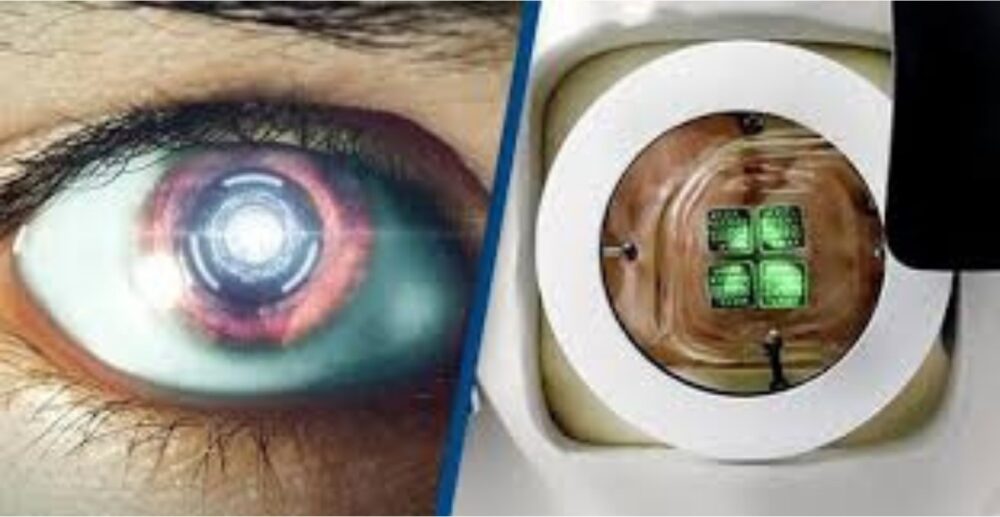 ឧបករណ៍បច្ចេកវិទ្យាថ្មី ជួយឱ្យអ្នកពិការភ្នែកអាចមើលឃើញឡើងវិញ