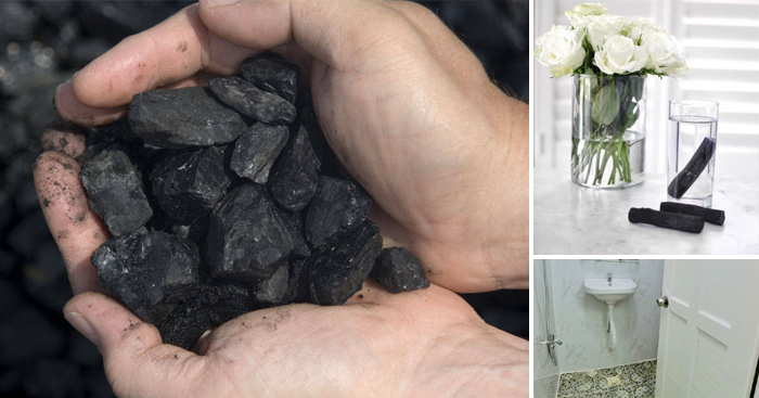 ប្រយោជន៍ 5យ៉ាងរបស់ដុំធ្យូង “ភាពល្អស្អាតដែលបង្កប់ក្នុងភាពខ្មៅ”