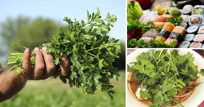 ប្រយោជន៍ល្អៗ 10យ៉ាងរបស់ “ជីវ៉ាន់ស៊ុយ”…អ៊ីចឹងបានជាជនជាតិជប៉ុនចូលចិត្តញ៉ាំម្ល៉េះ!