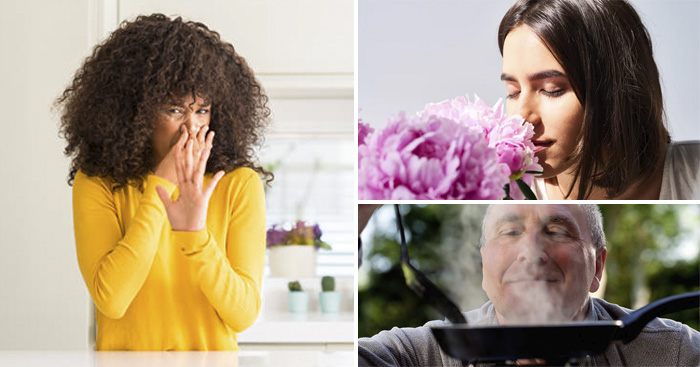 រឿងពិតដ៏អស្ចារ្យ 5យ៉ាងរបស់ច្រមុះ និងការដឹងក្លិនរបស់មនុស្សយើង