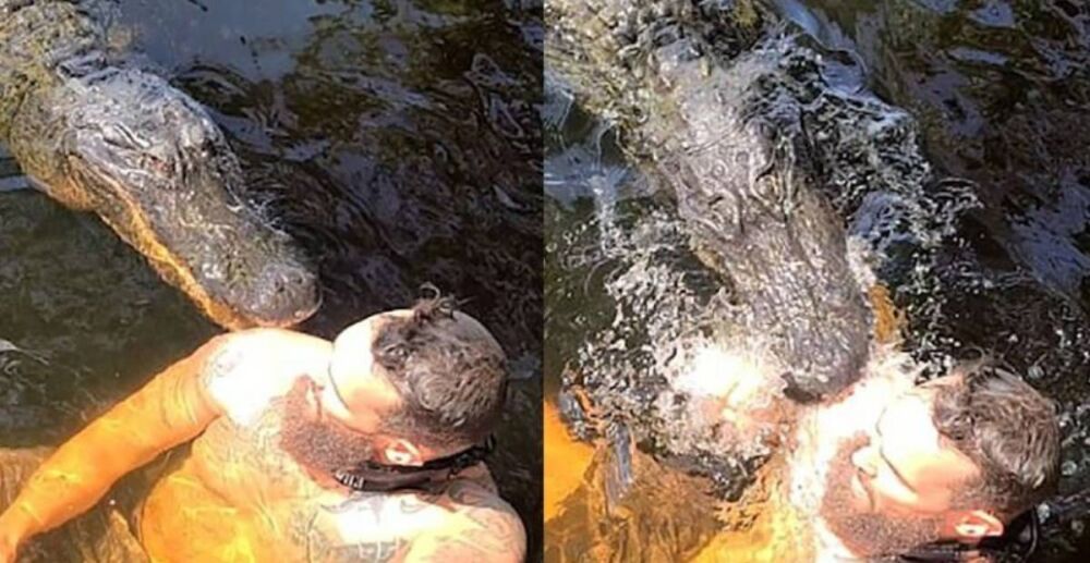 ក្រពើ ប្រវែង 4ម៉ែត្រ 1ក្បាល ខាំត្របាក់ស្មាបុរសអាមេរិកាំងម្នាក់កំពុងហែលទឹកលេងក្នុងបឹង តែ…