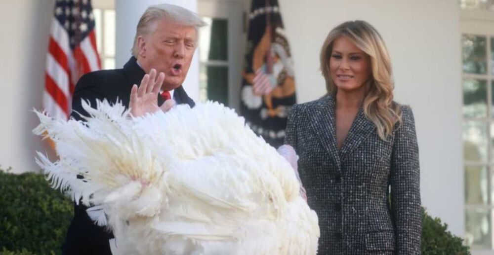 Trump លើក​លែង​ទោស​និង​រំដោះ​គ្រោះ​ដល់​មាន់​ដាំង​ដុង​ នៅ​ក្នុង​ថ្ងៃ​បុណ្យ​អំណរ​គុណ​ប្រចាំ​ឆ្នាំ