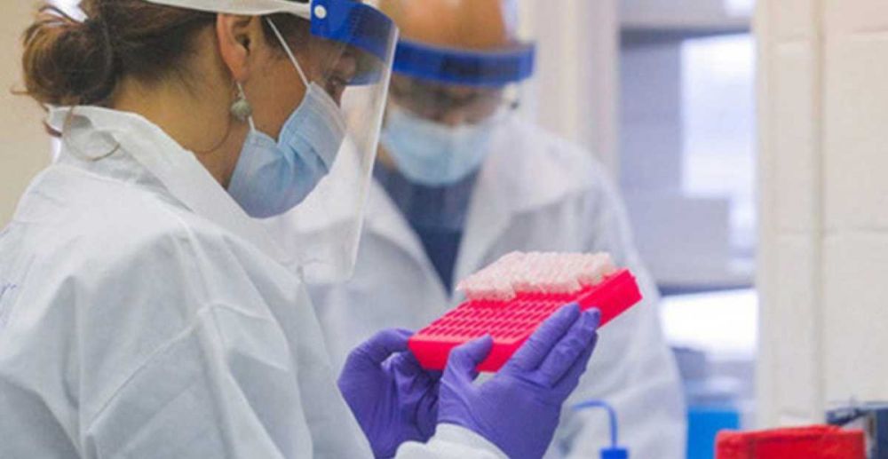 មូល​ប​ត្រ​ក្រុមហ៊ុន​ផលិត​ថ្នាំ​បាញ់​ច្រមុះ​ប្រឆាំង Covid-19 កើនឡើង​ជិត 500% ក្នុង​រយៈពេល​តែមួយ​ថ្ងៃ