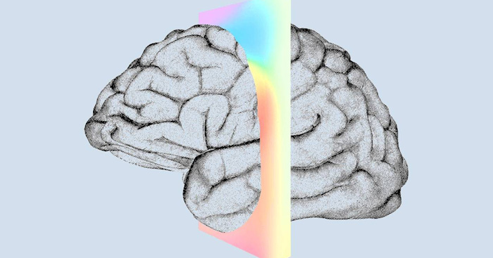 ក្រុមហ៊ុន Elon Musk  ធ្វើតេស្ត​ជោគជ័យ​លើ​សត្វ​ស្វា គម្រោង​បន្ទះ​ឈី​ប ជាមួយនឹង​ខ្សែ​អេឡិចត្រូត