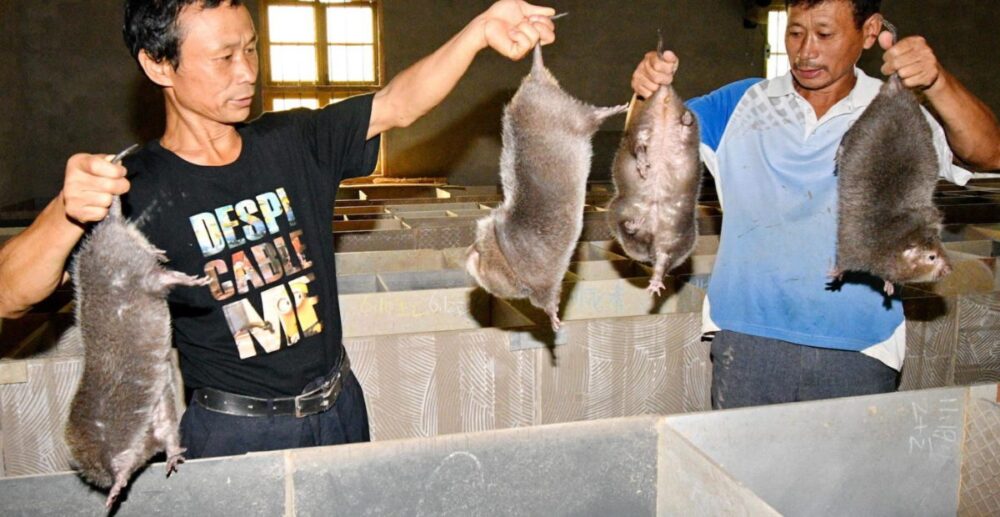 សមាជិក​​ម្នាក់​នៃ​ក្រុម​អ្នកជំនាញ​របស់ WHO បង្ហើប​អំពី​ប្រភព​របស់​វីរុស Covid-19 បន្ទាប់ពី​បាន​ស្រាវជ្រាវ​នៅ​ប្រទេស​ចិន