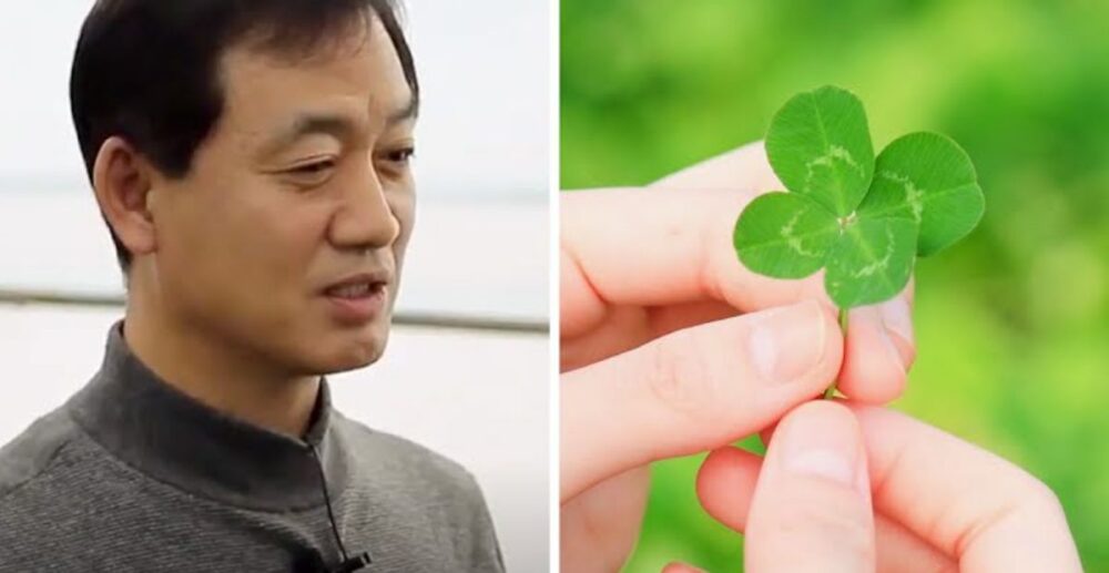 ដោយសារ​ដាំ​ស្មៅ​ស្លឹក​បួន កសិករ​ម្នាក់​រកបាន​ប្រាក់​ចំណេញ​​ខ្ទង់សែន​ដុល្លារ/ខែ