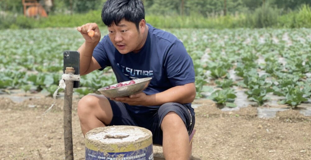 កសិករ​ចិន ឡាយ​លក់​កសិផល រកបាន​ប្រាក់​ខ្ទង់លាន​ដុល្លារ​អាមេរិក