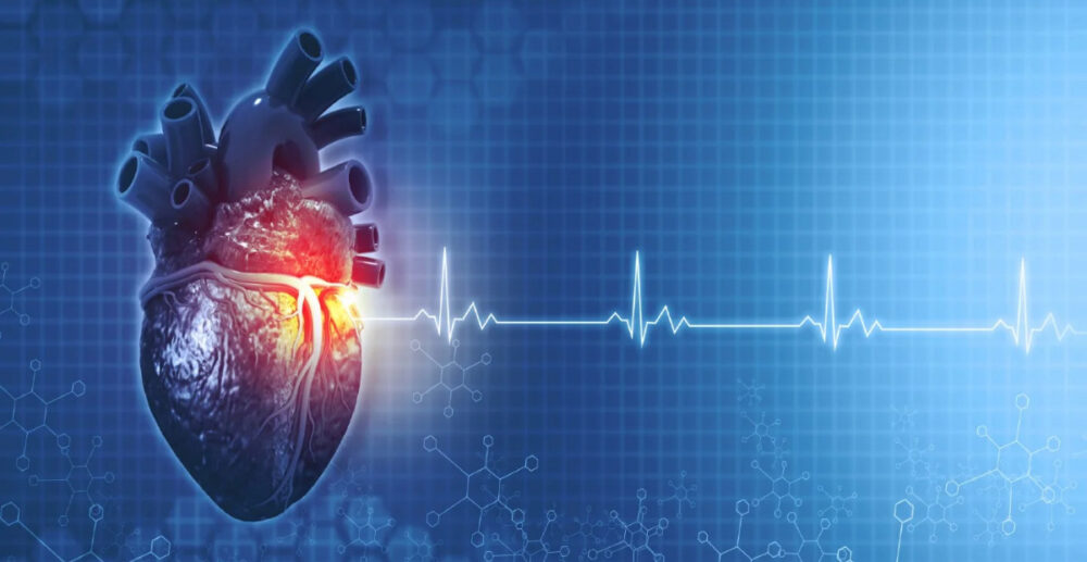 ម៉ាស៊ីន​បង្កើត​ចង្វាក់បេះដូង​ដំបូង​គេ ដែល​អាចរំលាយ​ខ្លួនឯងក្នុង​រាងកាយ​មនុស្ស ដោយ​ប្រើពេល​ខ្លី​បំផុត