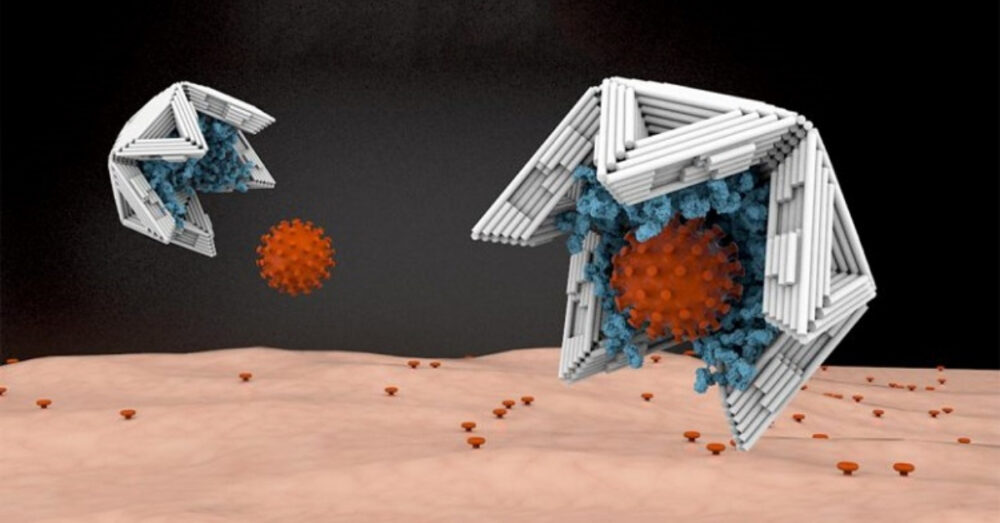 “អន្ទាក់” ទំហំ​លំដាប់ nano សម្រាប់​កម្ចាត់​វីរុស COVID-19