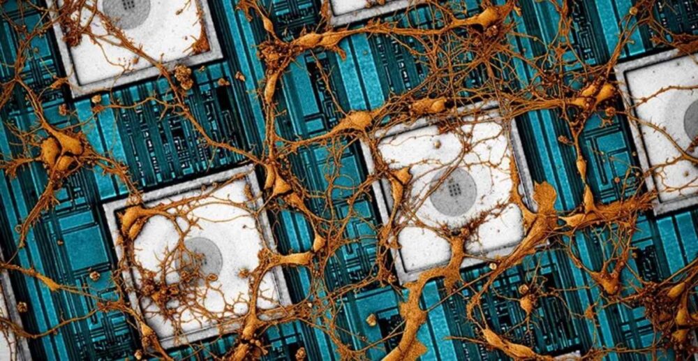 ក្រុម​ហ៊ុន​ Samsung ថតចម្លង​ខួរក្បាល​មនុស្ស​ ដាក់​ទៅក្នុង​អង្គ​ចងចាំ Neuromorphic Chips