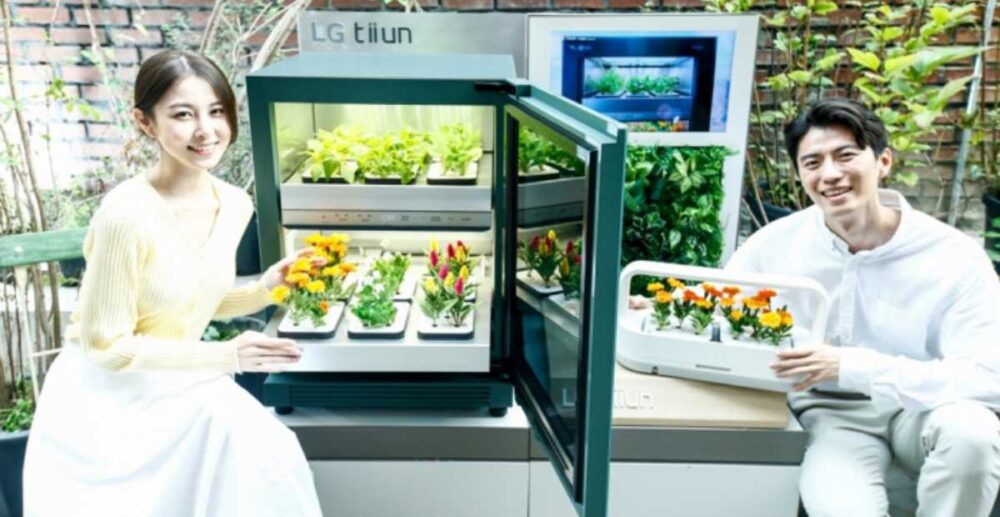 បច្ចេកវិទ្យាជួយឱ្យមេគ្រួសារដាំដំណាំក្នុងផ្ទះបានយ៉ាងងាយស្រួល និងមានប្រណិតភាពខ្ពស់ (វីដេអូ)