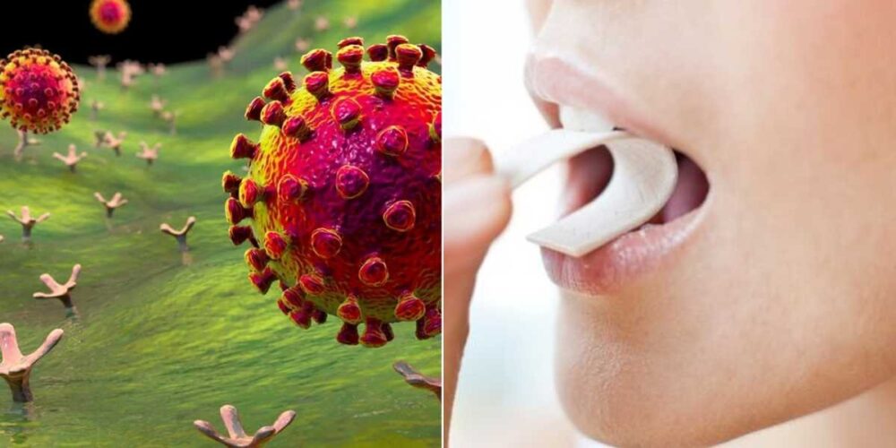 COVID-19! ការ​ពិសោធ​របស់​​ ​សហរដ្ឋ​អាម៉េរិក​៖ ​​ស្ករ​កៅស៊ូ​​ពិសេស​ ជួយ​កាត់បន្ថយ​បរិមាណ​វីរុស