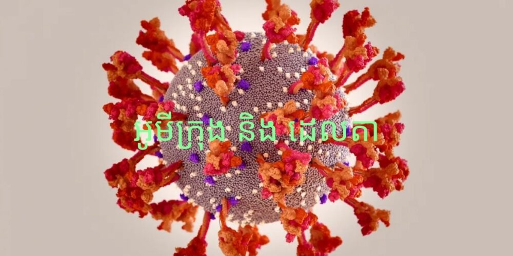 អូមីក្រុង (Omicron) «បែងភាគ បង្កើតកូនចៅ» នៅក្នុងប្រព័ន្ធផ្លូវដង្ហើម បានលឿនជាងឆ្ងាយ ធៀបនឹង វ៉ារ្យ៉ង់ ដេលតា (Delta)