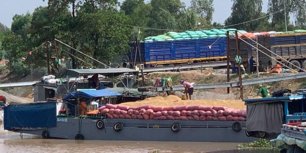 ឆ្នាំ២០២១ កម្ពុជា នាំចេញ​កសិផល បាន​ជាង ៧ លាន​តោន ច្រើនជាង ៦៣.៨៣% ធៀប​នឹង​ឆ្នាំ ២០២០