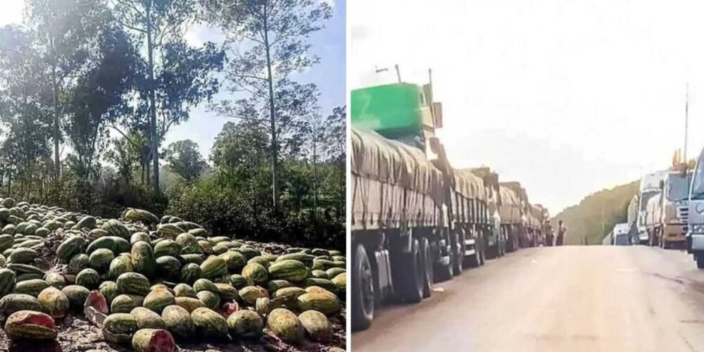 ឪឡឹក​រាប់ពាន់​តោន ត្រូវ​​បាន​ឈ្មួញ​បោះចោល​ក្បែរ​ព្រំដែន​ចិន