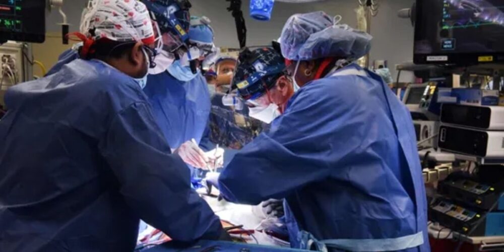 អាម៉េរិក វះកាត់ដាក់បេះដូងជ្រូកទៅក្នុងរាងកាយអ្នកជំងឺដើម្បីសង្គ្រោះជីវិត