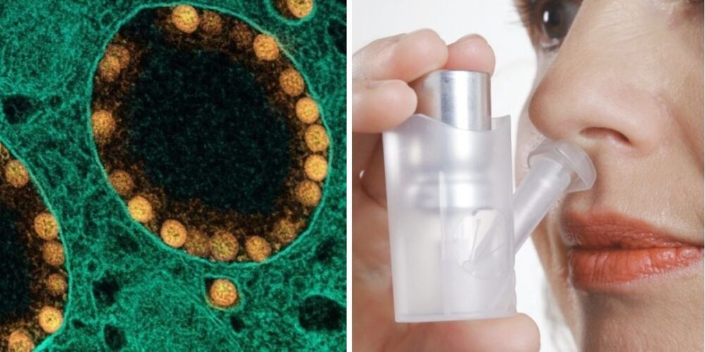 ថ្នាំ​បាញ់​តាម​ច្រមុះ អាច​ទប់ស្កាត់​ការឆ្លង​វីរុស កូ​វីដ-១៩ បាន​រហូតដល់ ៨ ម៉ោង