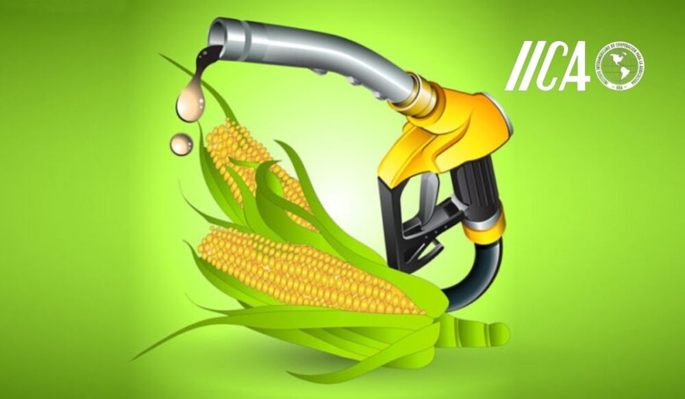 វិស័យ​កសិកម្ម​នៅ ​ទ្វីប​អាម៉េរិក អាចជា​គន្លឹះ​​ចម្បង​សម្រាប់​ដោះស្រាយ​បញ្ហា​សន្តិសុខ​ថាមពល​សកល ដែល​កើតឡើង​ដោយសារ​សង្គ្រាម​រវាង រុស្ស៊ី-អ៊ុយ​ក្រែ​ន