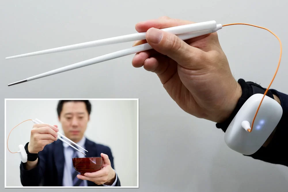 ចង្កឹះ​អេឡិចត្រូនិក ជួយ​ឱ្យ​អាហារ​មាន​ជាតិ​ប្រៃ​ជាង​ធម្មតា ១.៥ ដង៖ សមស្រប​សម្រាប់​អ្នក​ត្រូវ​តម​អំបិល តែ​ចូលចិត្ត​ហូប​ប្រៃ