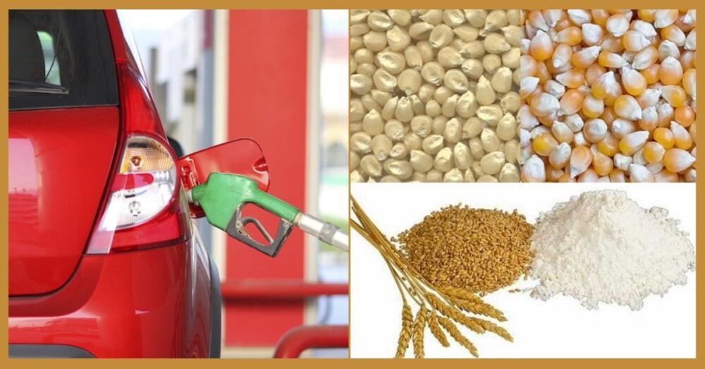 ធនាគារពិភពលោក​ព្យាករ​ថា តម្លៃ​ថាមពល ស្បៀងអាហារ​នឹង​ឡើង​ខ្ពស់​ខ្លាំង ក្នុង​រយៈពេល ៣ ឆ្នាំ​ទៀត