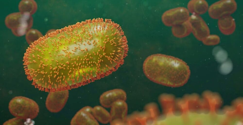 ជំងឺ​អុត​ស្វា (monkeypox)! ក្រុម​អ្នកជំនាញ​ថា មិនចាំបាច់​ចាក់​វ៉ាក់សាំង​បង្ការ​ទូលំទូលាយ