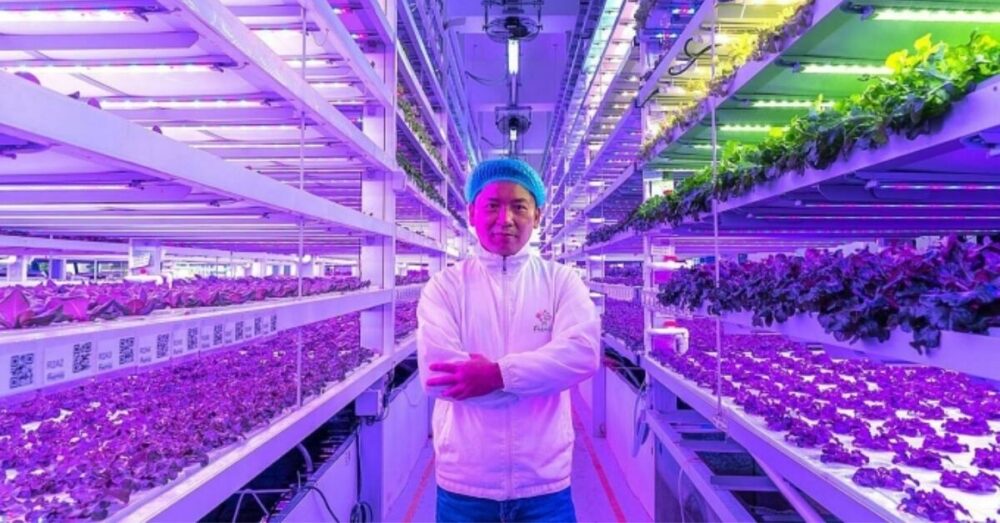 Startup «ធ្វើ​ចំការ» ក្នុង​កសិដ្ឋាន​ប្រភេទ «ឈរ​ត្រង់» នៅក្នុង​អគារខ្ពស់ៗ