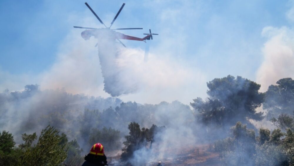 មនុស្សជាង ៥០០ នាក់បានស្លាប់ដោយសាររលកកម្ដៅកម្រិតខ្ពស់នៅ អេស្ប៉ាញ