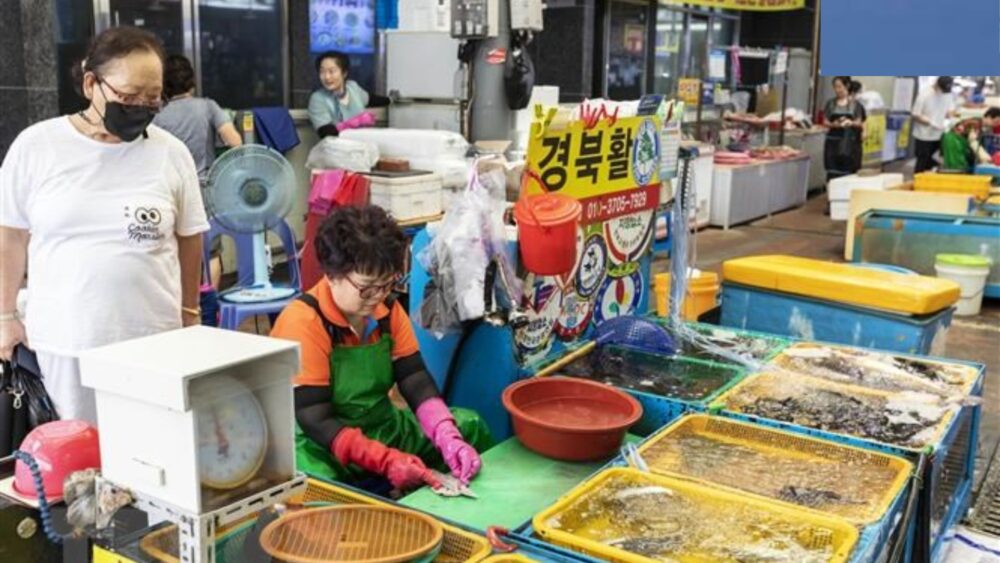 សេដ្ឋកិច្ច​កូរ៉េខាងត្បូង នឹងមាន​កំណើន​យឺត ដោយសារ​អតិផរណា​កើនឡើង​ខ្ពស់