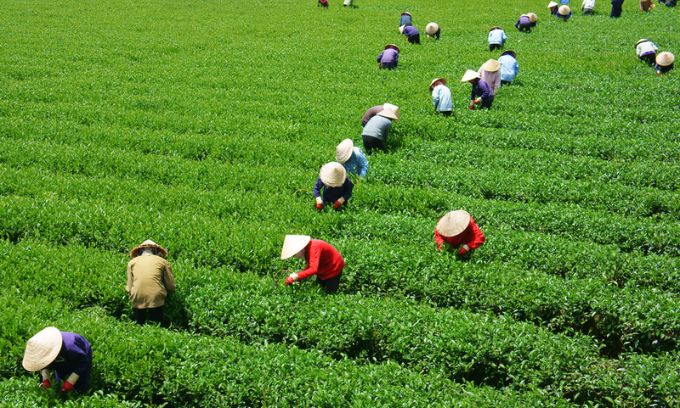 ជា​មធ្យម ប្រជាជន​វៀតណាម ម្នាក់ ត្រូវ​រែកពុន​បំណុល​សាធារណៈ​ជិត ៤០ លាន​ដុង