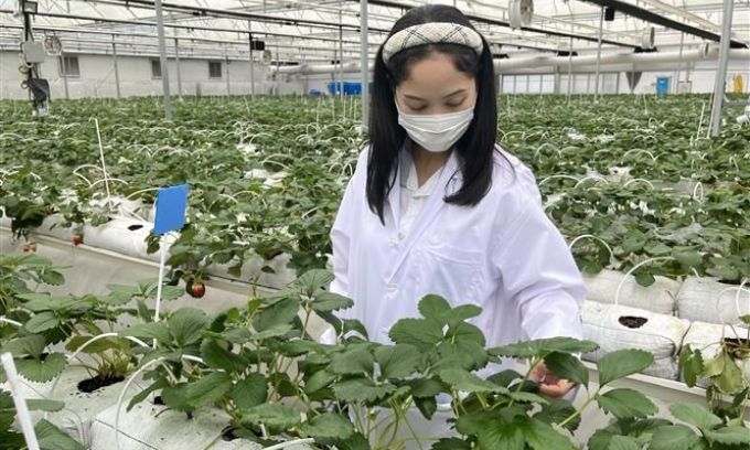 ប្រទេស​ថៃ ចូល​រួម​​ដណ្ដើម​យក​​បុគ្គល​​ដែល​​មាន​​សក្តានុពល​​​ពី​​បរទេស​​ ដើម្បី​​ស្ដារ​សេដ្ឋកិច្ច​​ជាតិ​