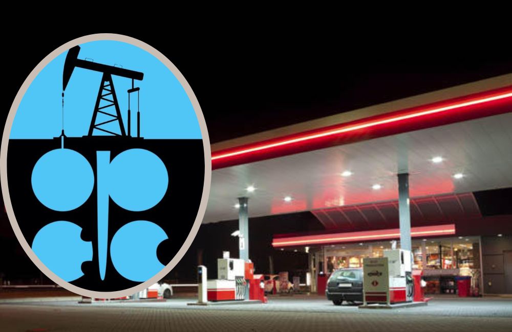 បញ្ហា​អ្វី​ខ្លះ​កើត​ឡើង​ ពេល​ OPEC+ កាត់បន្ថយ​ការ​ផលិត​ប្រេង​ឆៅ ២ លាន​ធុង​រាល់​ថ្ងៃ