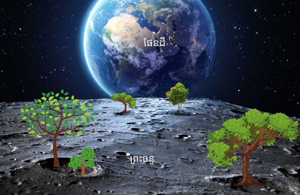 អូស្ត្រាលី​ ចង់​ដាំរុក្ខជាតិ​​នៅ​លើឋាន​ព្រះចន្ទ នៅ​ឆ្នាំ ២០២៥​ ដើម្បី​ទ្រទ្រង់​ជីវិត​មនុស្ស​