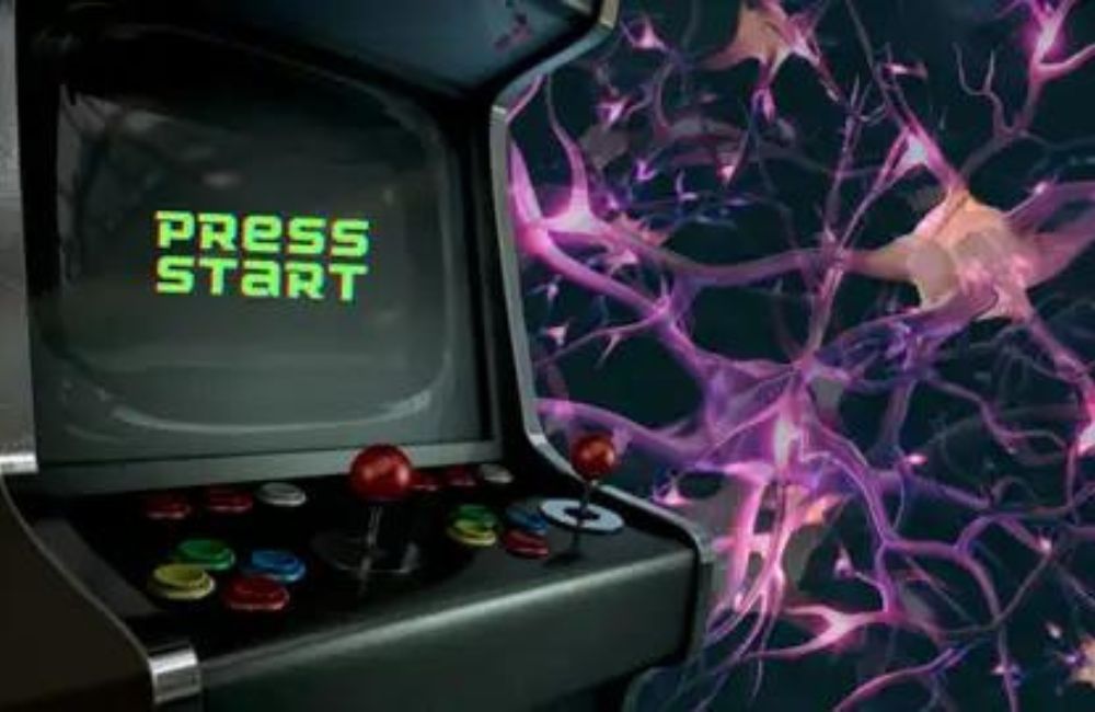 ខួរក្បាលបណ្ដុះ និងចិញ្ចឹមនៅក្នុងបន្ទប់ពិសោធន៍ ចេះលេងល្បែងអេឡិចត្រូនិច