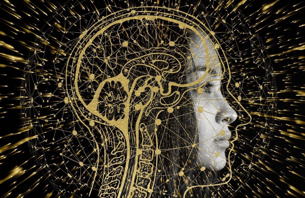 បច្ចេកវិទ្យា​ថ្មី​​របស់ ​អាម៉េរិក ​អាច​​ស្កេ​ន​​ខួរ​ក្បាល​​ដឹង​ថា​ «គ្រប់​គ្នា​​កំពុង​​គិត​​អ្វី»​ ឬ ​«បាន​ដឹង​​អ្វី»