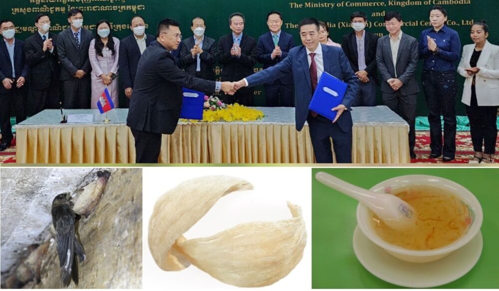 សំបុក​ត្រចៀកកាំ​​កម្ពុជា អាច​នាំចេញ​​បាន​ច្រើន​ទៅកាន់​ទីផ្សា​រ​​​ជាង​​​ពាន់​​លាន​​នាក់​ បន្ទាប់​ពី​​អនុស្សរណៈ​​នៃ​​ការ​យោគ​យល់​​មួយ​​បាន​​ចូល​​ជា​​ធរមាន