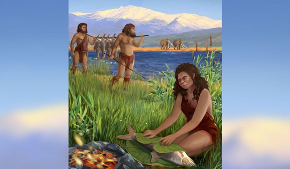 ភ័ស្ដុតាង​បង្ហាញថា មនុស្ស​ចេះ​ចម្អិន​ត្រី​ធំ​ជា​អាហារ​កាលពី 780,000 ឆ្នាំមុន