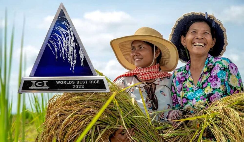 កម្ពុជា ឈ្នះ​ពាន​រង្វាន់​ «អង្ករ​​ល្អ​​ជាង​គេ​​លើ​​ពិភព​លោក»​ ប្រចាំ​ឆ្នាំ ​2022