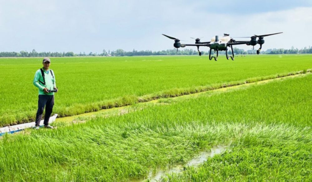 ប្រជាកសិករ​វៀតណាម ប្រើប្រាស់​យន្តហោះ​ដ្រូ​ន (Drone) ក្នុង​ការដាំដុះ